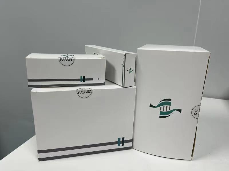 Paket Proses Lengkap